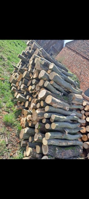 Sprzedam drewno opałowe/kominkowe Okazja!