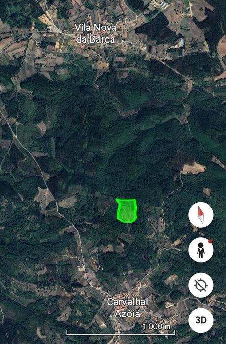 Terreno florestal
