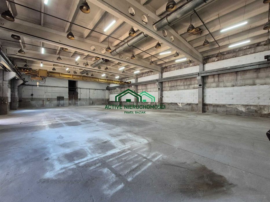 Hala produkcyjna, magazyn, suwnica, 580m2, Rybitwy