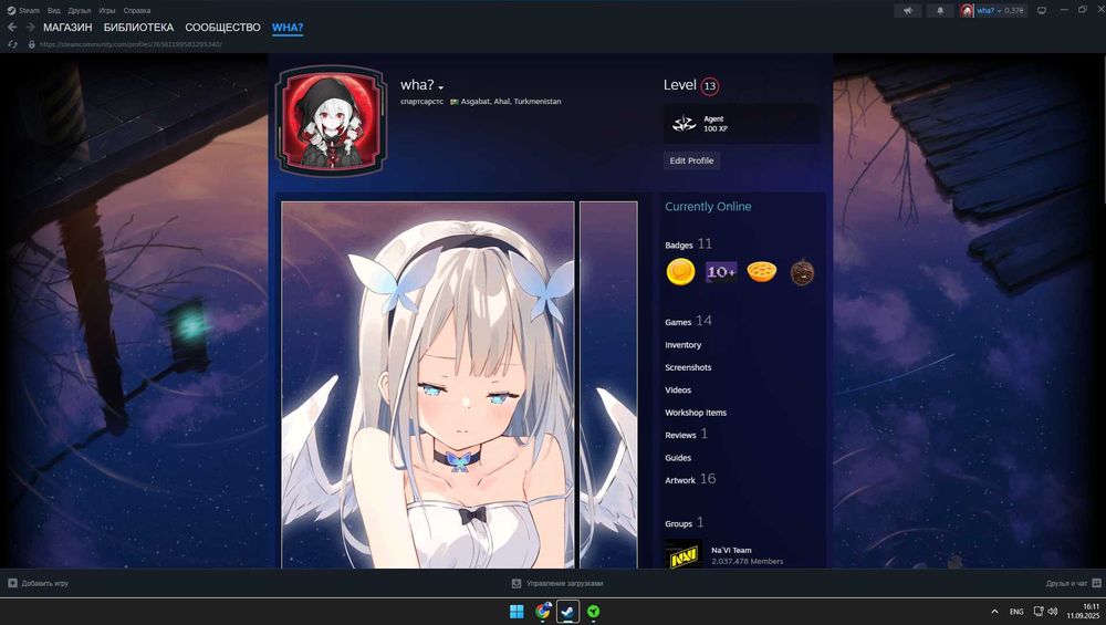 Продам Акаунт В Steam 400 грн