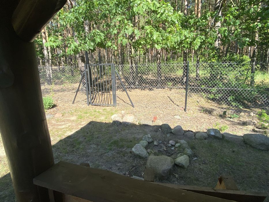 Działka budowlana 1106m² przy Lesie Państwowym | Blisko Jeziora Sumina | Prąd, Studnia, Domek, Altana - Widok 5
