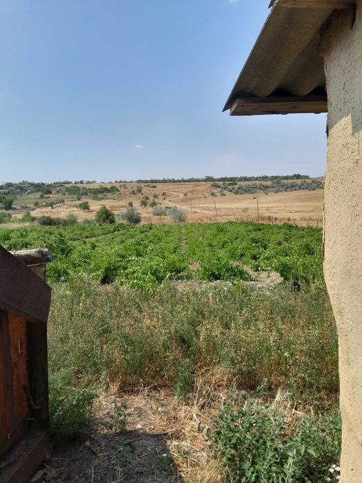 Продам дом с.Яровое  Болградский район