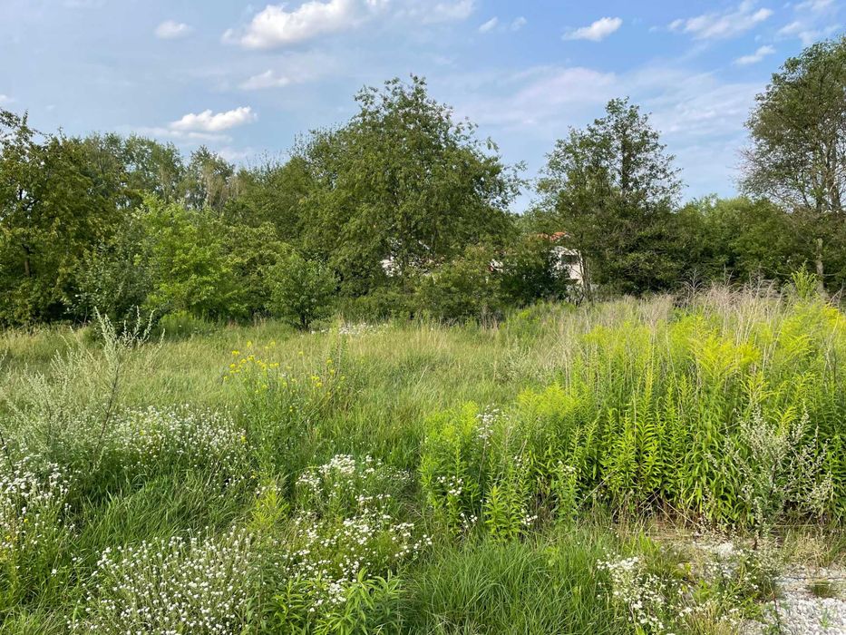 Działka budowlana w Milanówku - Widok 2