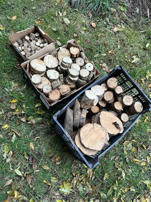 Plastry drewna na Stoliki  kawowy