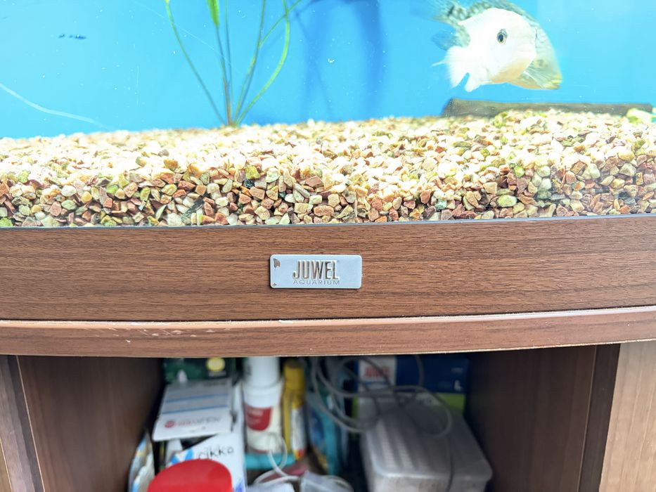 СРОЧНО продаи  аквариум Juwel