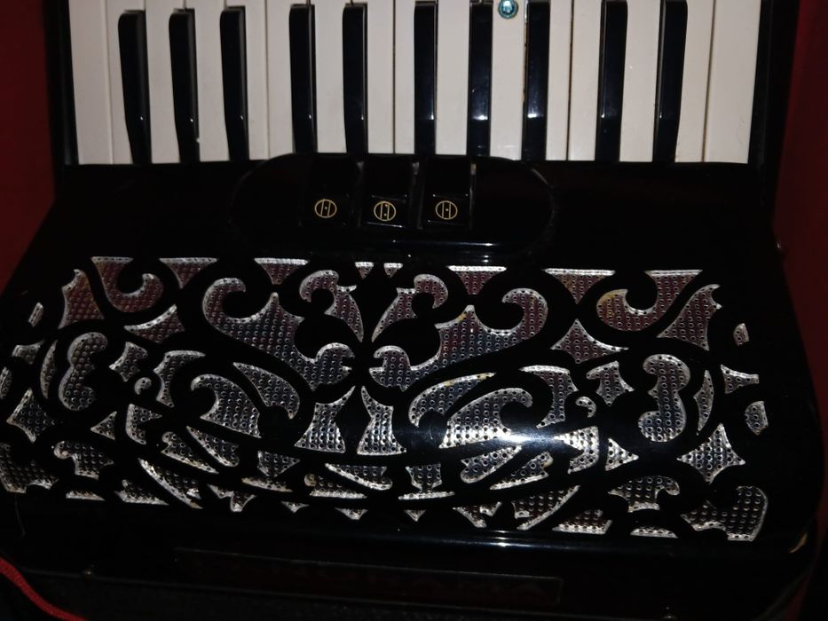 Acordeon Panorama
