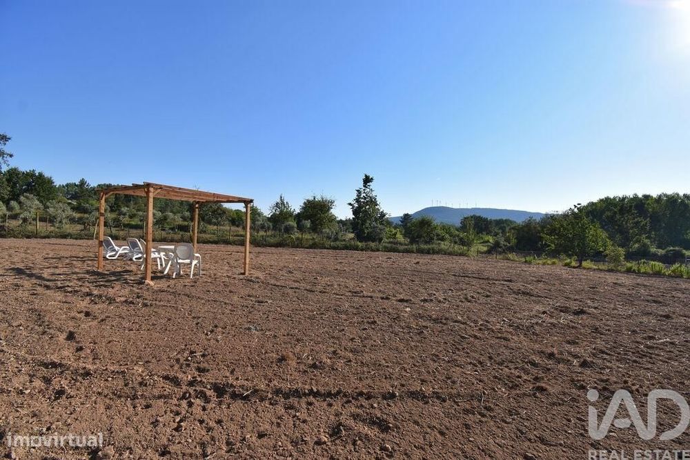 Terreno em Espinhal