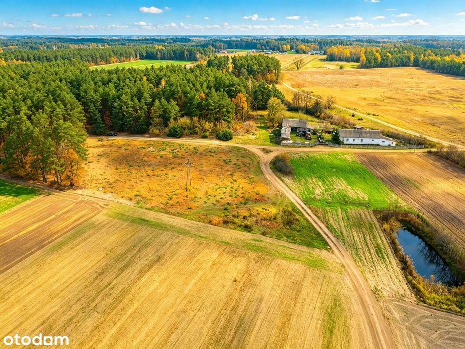 Działka 4400 m² przy lesie, media, MPZP, możliwy podział - Widok 4