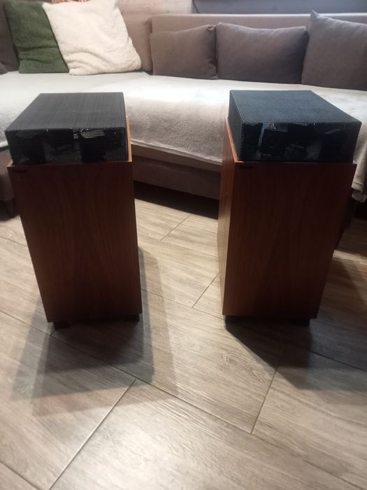 Pataco pd117 unikalne kolumny.