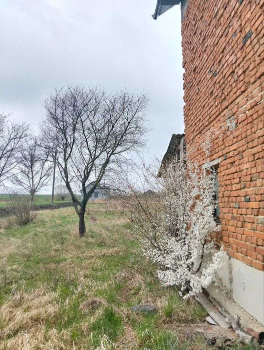 Продаж будинку. 10 сот ділянка