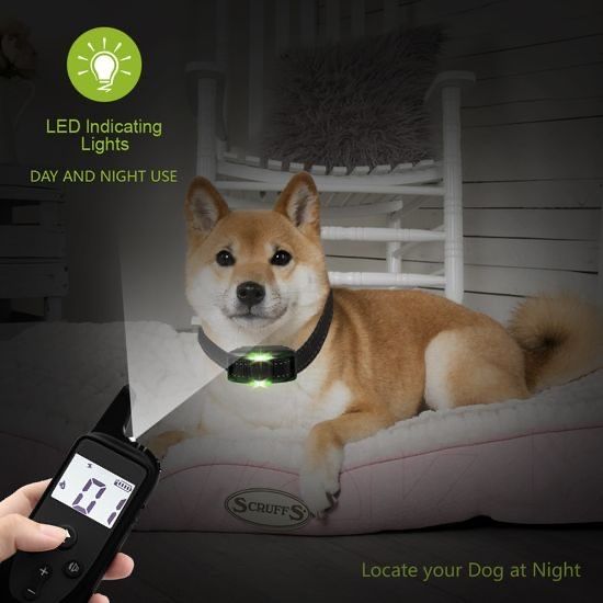 Reedog P20 | Електронний дресирувальний нашийник