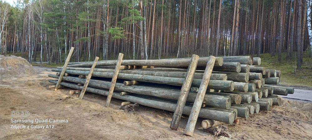 Słupy drewniane impregnowane