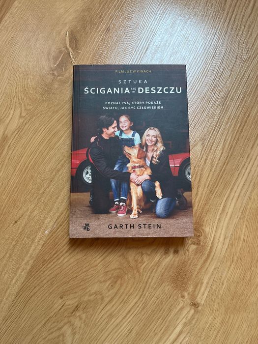 Sztuka ścigania się w deszczu Gareth Stein
