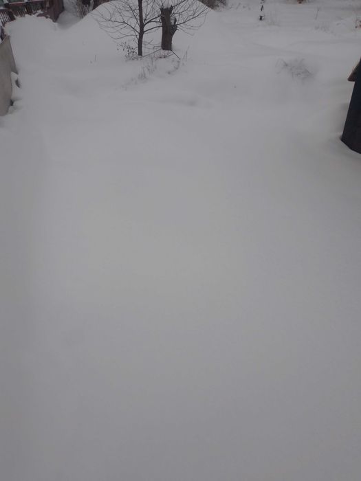 Дачна ділянка промінь