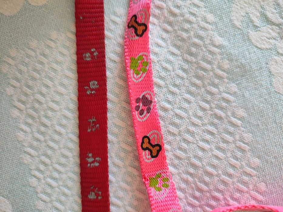 Duas trelas para animais