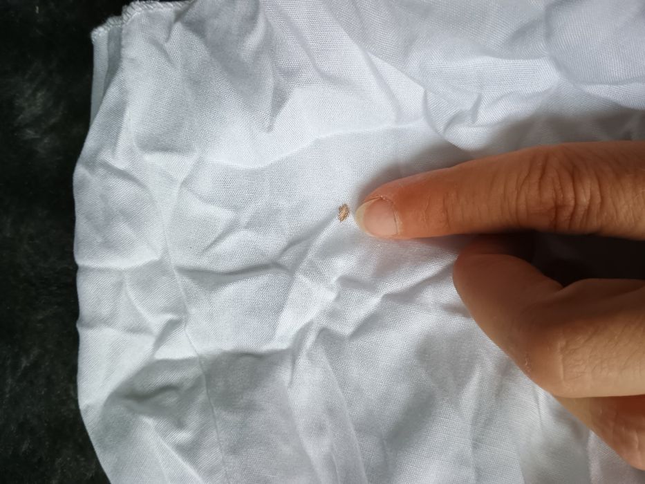 Kostium dla dorosłych Gotycki Elf