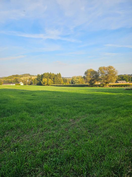 Piękna, duża działka budowlana 33a, możliwość podziału na 3 mniejsze działki 11 arowe, Michałowice pod Krakowem