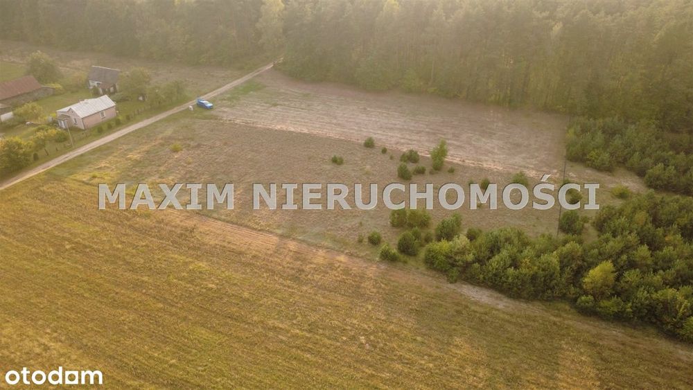 Malownicza działka budowlana (3 001 m²) w Przepitk - Widok 4
