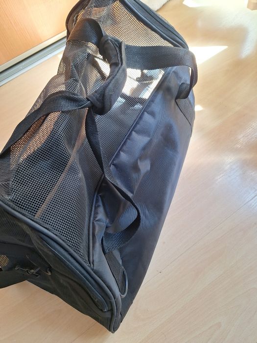 Transporter dla kotka