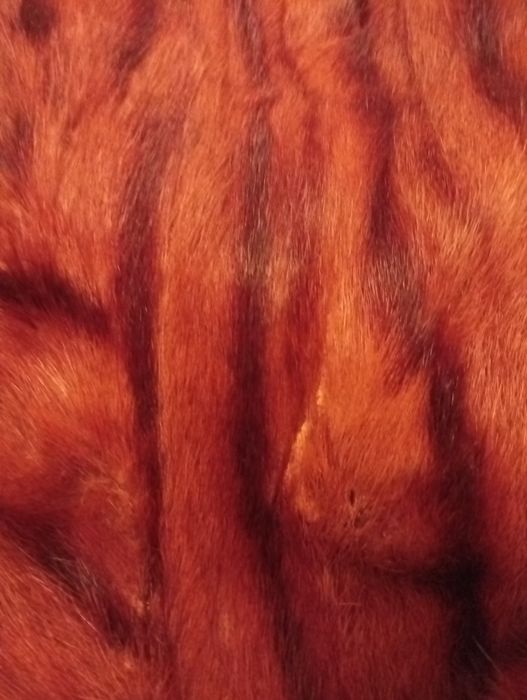 Casaco vison genuíno.