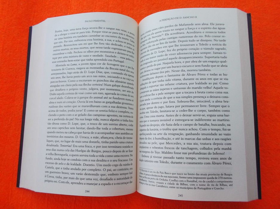 A Perdição de D. Sancho II  - Paulo Pimentel