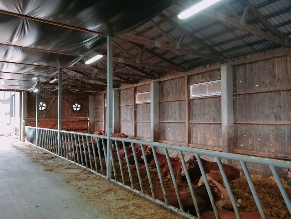 Sprzedam Chlewnię do rozbiórki