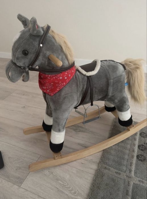 Konik na biegunach
