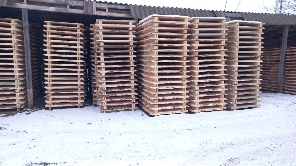 Щити, для равликів