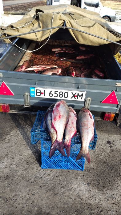 Продам рибу доставка до дому