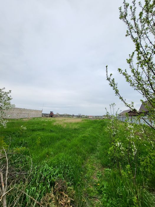 Продажа участка Рогозов. 25 соток!