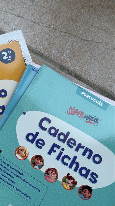 Livros de fichas do 2 ano