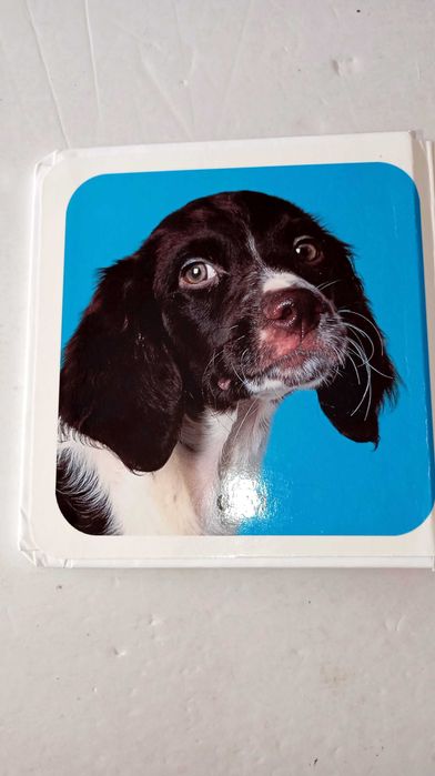 Animais - Livros para bebés