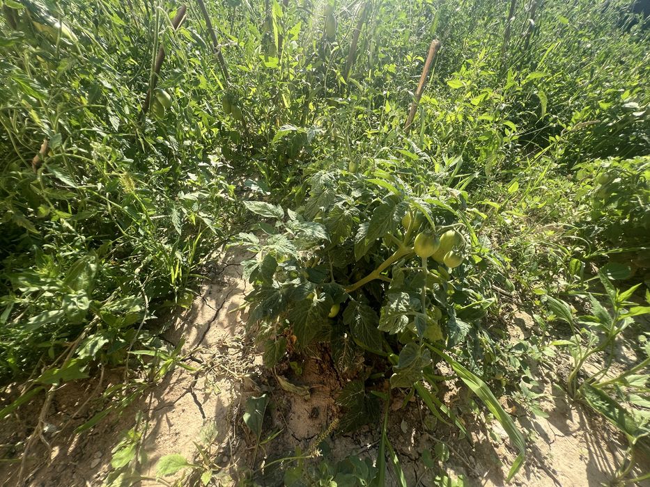 Будинок за адресою вул. Богдана Хмельницького (площа 95 м²) - Atlanta.ua - фото 8