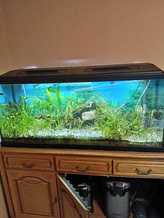 Akwarium 240 l, zestaw