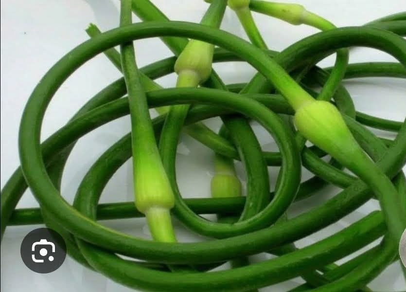 Стрілки часника , свіже вирвані в невеликій кількості