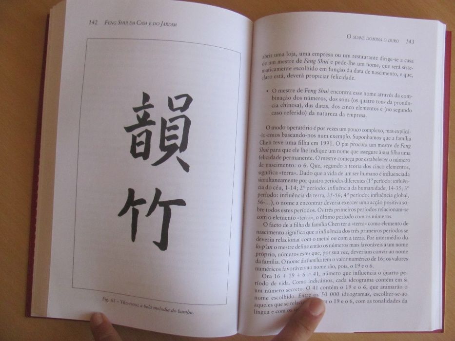 Feng Shui da Casa e do Jardim de Chao-Hsiu Chen