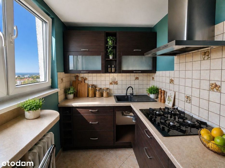 Apartment in Zielona Góra, Osiedle Winnica, Stare Miasto - View 3