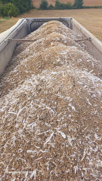 Pomiot kurzy bez słomy