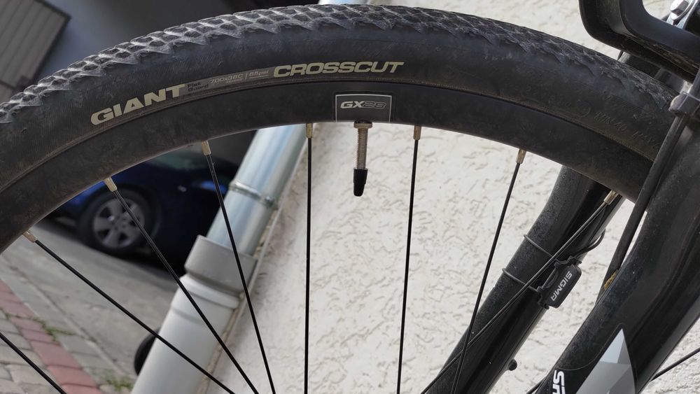 Rower crossowy XL Giant Roam 2 Disc