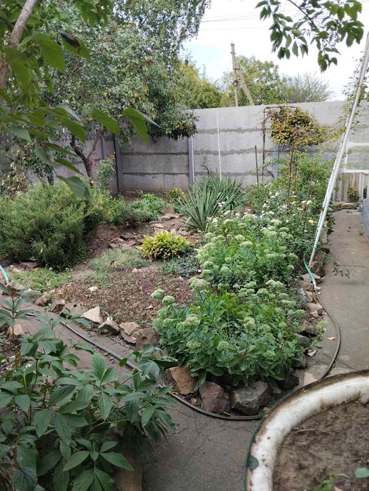 Продам дом на Красном октябре