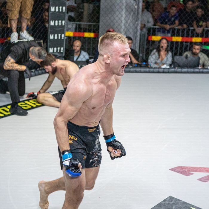 Trener Personalny  Boks/Muay Thai /MMA , Treningi Indywidualne