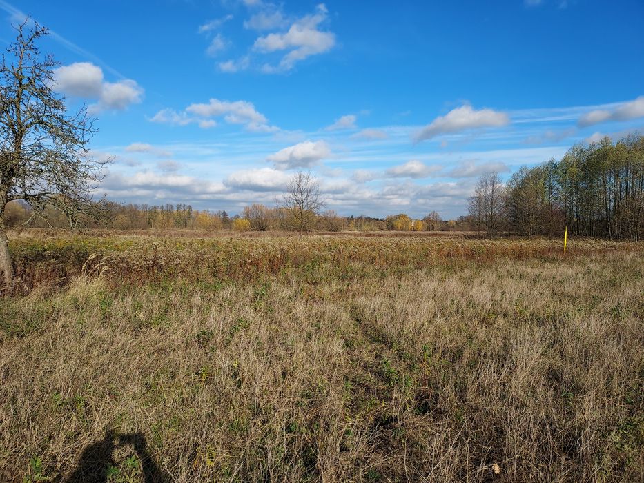Działka budowlana Hipolitów gm. Chynów bezpośrednio - Więcej
