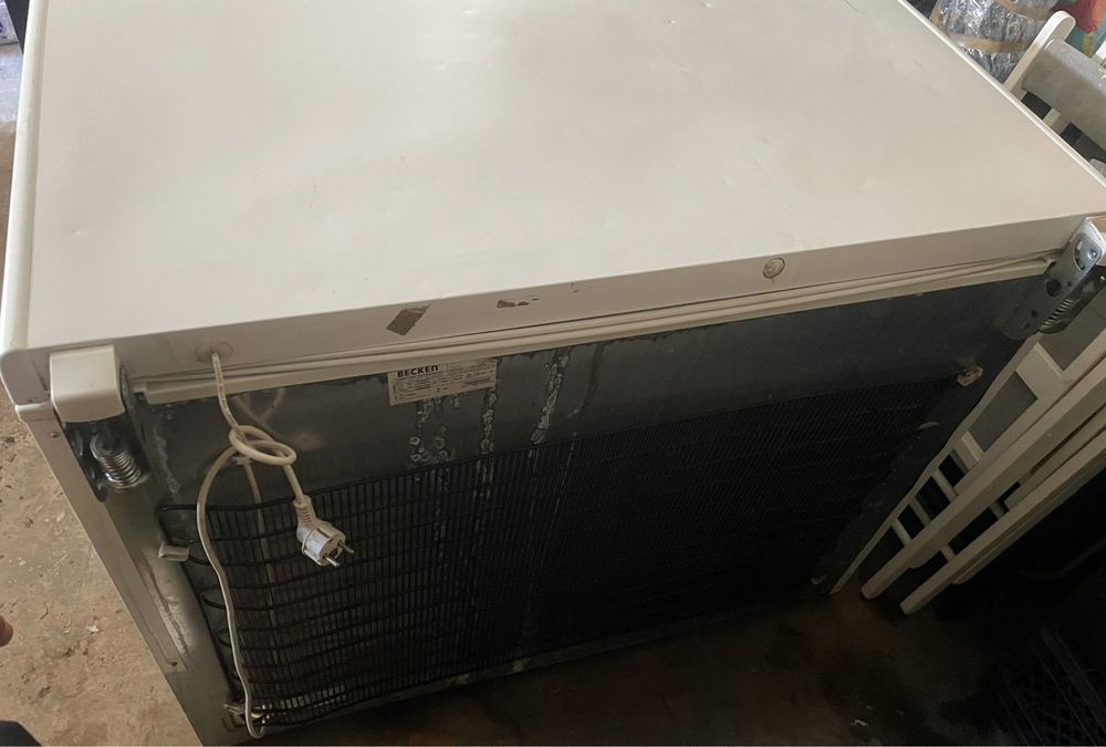 Arca congeladora Becken