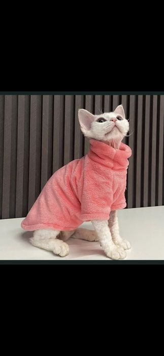 Одяг для котика або песика