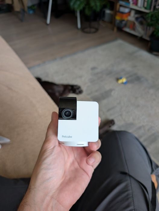 PetCube Cam 360 камера для тварин