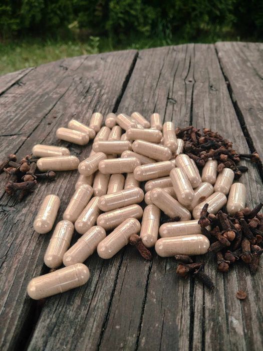 Kuracja Huldy Clark same kapsułki