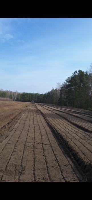 Darmowa wycinka drzew lasow samosiejek czyszczenie dzialek mulczer