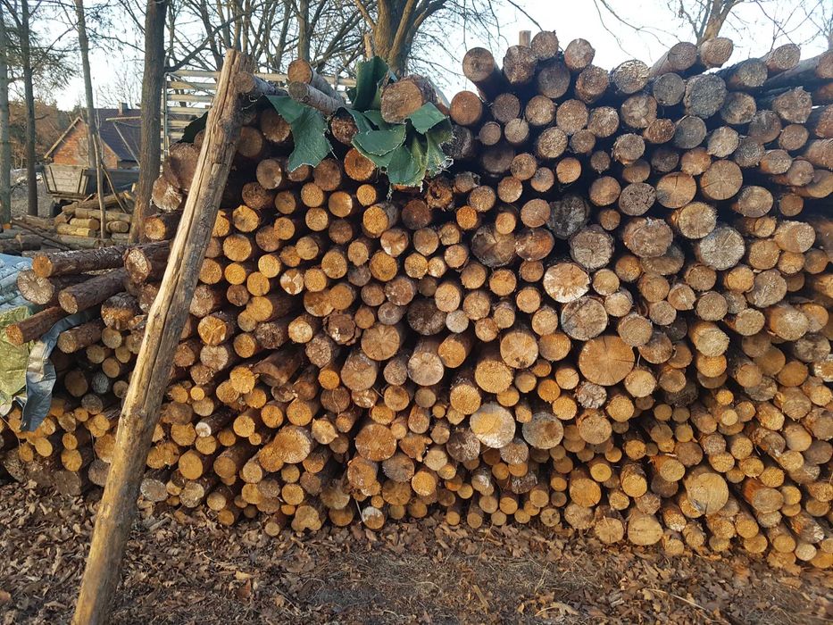 Stemple Budowlane 2.40m Średnica 7-9 cm Sosna Olcha