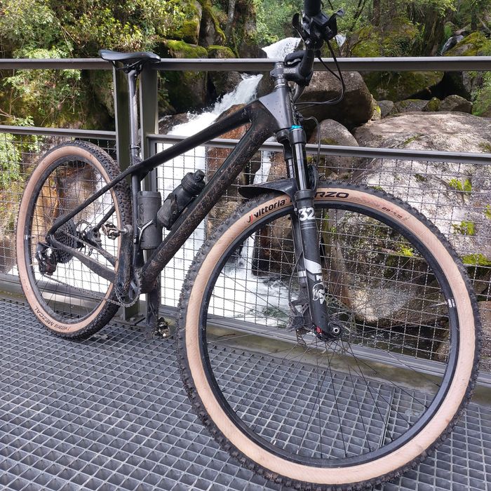 Focus Raven                                    .