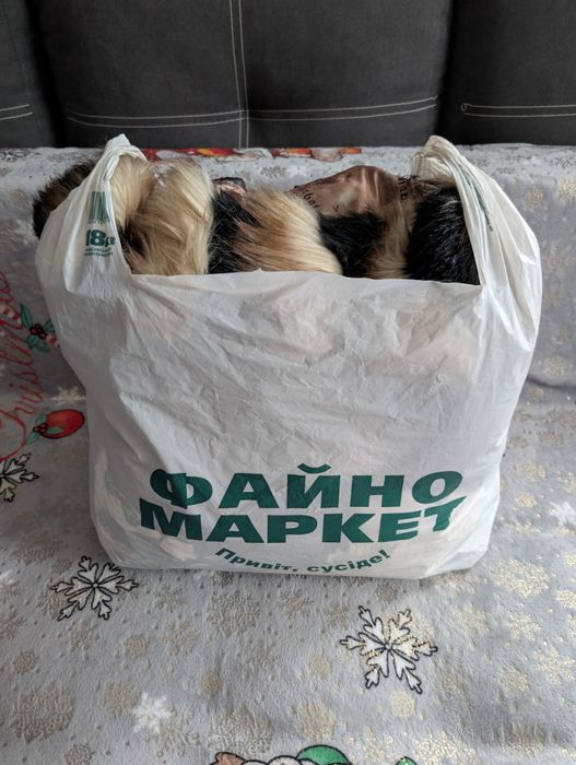 Великий пакет речей